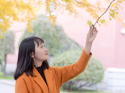 菲律宾落地签办理流程以及地址详细介绍